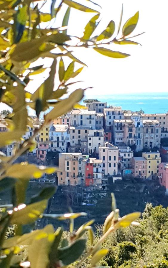 Hôtel Arbanella à Corniglia Extérieur photo