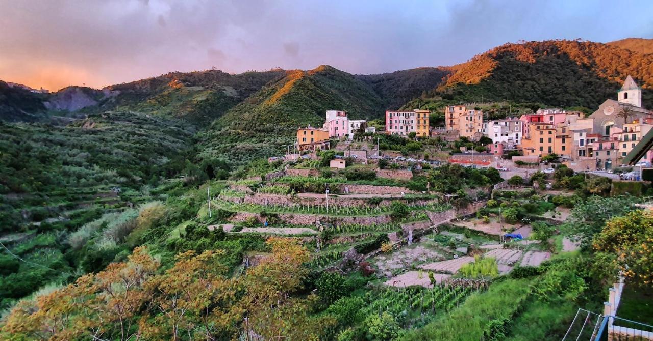 Hôtel Arbanella à Corniglia Extérieur photo